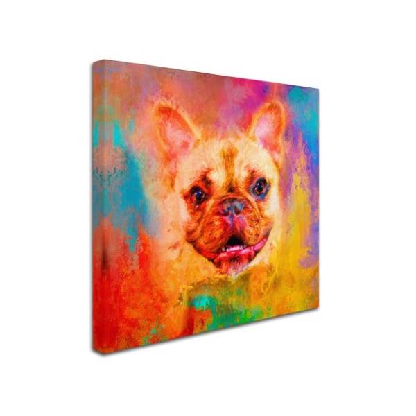 Jai Johnson 'Jazzy French Bulldog' Canvas Art,14x14